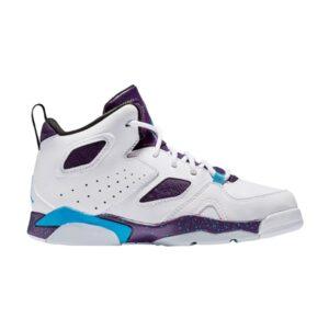 Air Jordan Flight Club 91 PS Raisin Lagon 555470 105