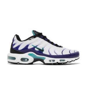 Nike Air Max Plus Grape Baskets Vert DM0032 100