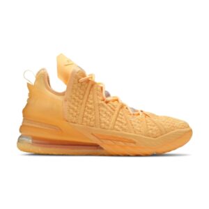Nike LeBron 18 Sisterhood Baskets DB8148 801
