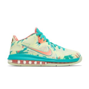 Nike LeBron 9 Low LeBronold Palmer Gris DO9355 300