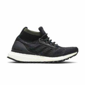 Chaussures adidas UltraBoost All Terrain Carbon CM8256