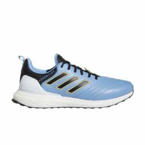 adidas UltraBoost DNA Copa Coupe du Monde - Argentine GW7267