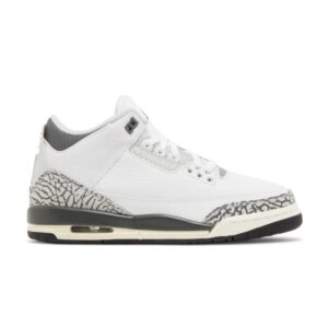 Air Jordan 3 Retro GS Hide N' Sneak Violet DX6665 100