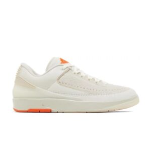 Shelflife x Air Jordan 2 Retro Low DV7128 110
