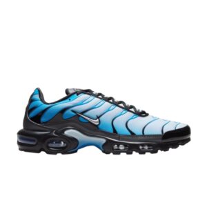 Nike Air Max Plus Neptune Bleu Gris FQ0204 010
