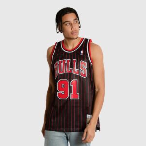 Maillot de basket-ball 1995-1996 Chicago Bulls Dennis Rodman # 91 Swingman Hardwood Classic Pinstripe Jersey 692565