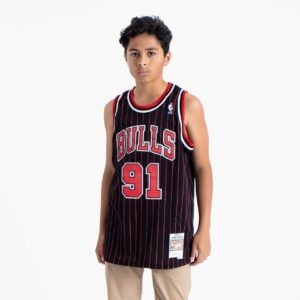 Maillot de basket-ball 1995-1996 Chicago Bulls Dennis Rodman # 91 Youth Swingman Hardwood Classic Pinstripe Jersey Violet 692429