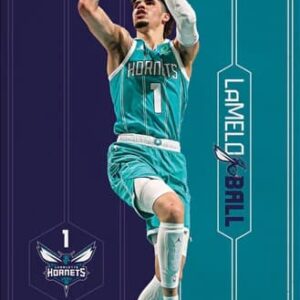 Affiche murale NBA Lamelo Ball Charlotte Hornets 706636