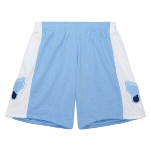Mitchell & Ness North Carolina Tar Heels 1992-93 Hardwood Classics Throwback Swingman NCAA Short (copie) Bleu 711820