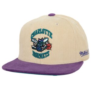 Mitchell & Ness 2 tons équipe cordon ajusté HWC Charlotte Hornets chapeau Tang 740371