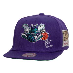 Mitchell & Ness Jersey Love Snapback HWC Charlotte Hornets Chapeau Gris 739983