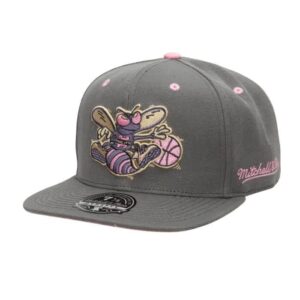 Mitchell & Ness Lavender Dreams Ajusté HWC Charlotte Hornets Chapeau Gris 740421