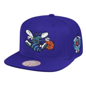 Mitchell & Ness Patches 2 tons HWC Snapback Charlotte Hornets Chapeau Violet 739974