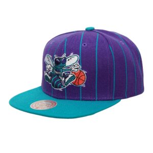 Mitchell & Ness Team Pin Snapback HWC Charlotte Hornets Chapeau Violet 739386