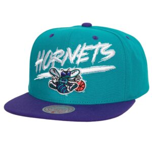 Mitchell & Ness Transcript Snapback HWC Charlotte Hornets Chapeau Violet 739825
