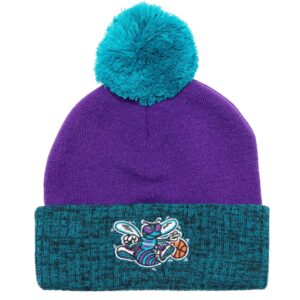 Mitchell & Ness Bonnet à pompon bicolore HWC Bonnet Charlotte Hornets Violet 739994