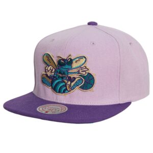 Casquette de baseball Mitchell & Ness Violet vues Snapback HWC Charlotte Hornets chapeau Violet 739966