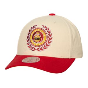 Casquette Mitchell & Ness Collegiate Pro Snapback HWC Houston Rockets Gris 747243