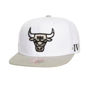Mitchell & Ness Core IV Snapback Chicago Bulls Blanc Chapeau Gris/Blanc 746323
