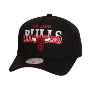 Casquette Mitchell & Ness Panorec Pro Snapback Chicago Bulls Gris 746380