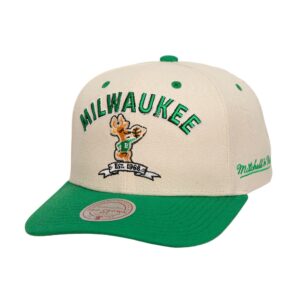 Casquette Mitchell & Ness Legacy Defined Pro Snapback HWC Milwaukee Bucks Beige 756778