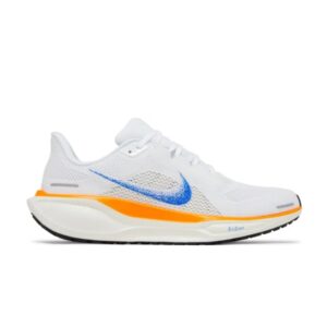 Nike Air Zoom Pegasus 41 Blueprint Pack HF0013 900