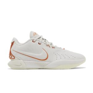 Nike LeBron 21 Akoya Baskets Vert FV2345 001