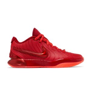 Nike LeBron 21 James Gang Baskets HF5951 600