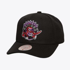Mitchell & Ness Noir Toronto Raptors Hardwood Classics Neon Logo Pro Crown Snapback Chapeau Crème 771909