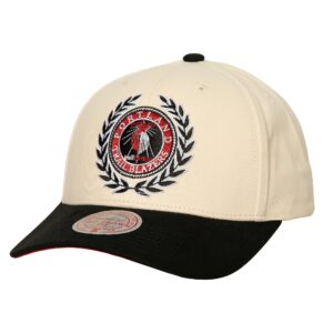 Casquette Mitchell & Ness Collegiate Pro Snapback HWC Portland Trail Blazers Beige 770807
