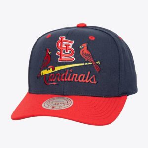 Mitchell & Ness Casquette de baseball Navy St. Louis Cardinals All In 2.0 Pro Crown Snapback Hat Crème 772367