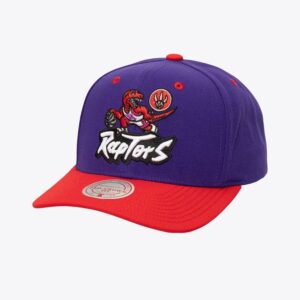 Mitchell & Ness Violet Toronto Raptors Hardwood Classics All In 2.0 Pro Crown Snapback Chapeau Violet 771963
