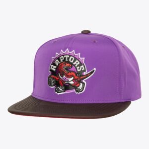 Mitchell & Ness Violet Toronto Raptors Hardwood Classics Heat Up Snapback Chapeau Violet 771400