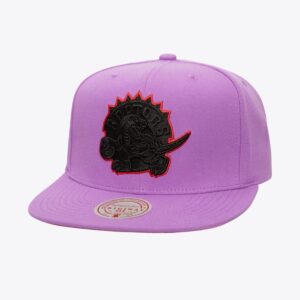 Mitchell & Ness Violet Toronto Raptors Hardwood Classics Logo Eclipse OG Snapback Chapeau Violet 771414
