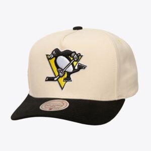 Mitchell & Ness Crème Pittsburgh Penguins Overspray Pro Crown Snapback Chapeau Crème 1193152