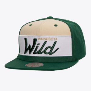 Mitchell & Ness Vert Minnesota Wild Retro Sport Snapback Chapeau Vert 1170282