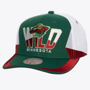 Mitchell & Ness Vert Minnesota Wild Retrodome Pro Snapback Chapeau Vert 1170278