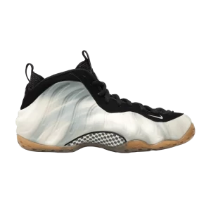 Nike Air Foamposite One QS 'Dream A World - Sepia Stone' Pierre sépia/Argent métallique FB2195 200