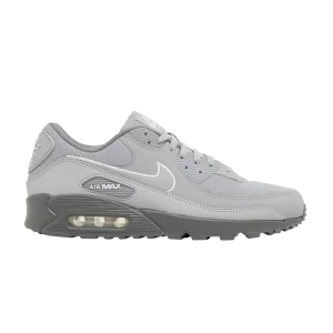 Nike Air Max 90 'Wolf Grey' Gris loup/Gris froid/Blanc FJ4218 002