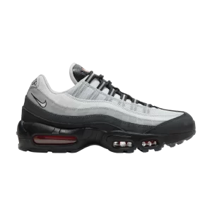Nike Air Max 95 'Koi' Noir/Platine pur/Gris fumée clair/Blanc DQ3979 001