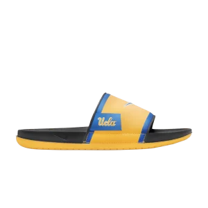Nike College Offcourt Slide 'UCLA' Or/Gris fumée foncé/Bleu signal FN4481 700