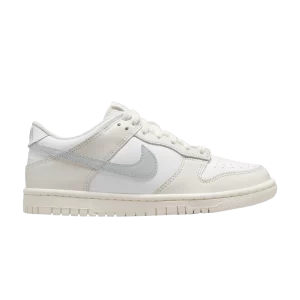Nike Dunk Low GS 'Phantom Light Silver' Blanc/Ghost/Argent clair FB9109 109