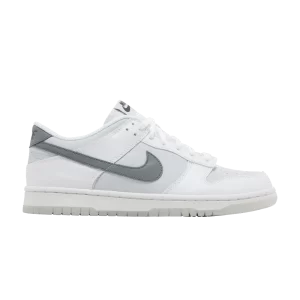 Nike Dunk Low GS 'Reflective Swoosh' Blanc/Gris Football/Platine Pur/Gris Fumée FV0365 100