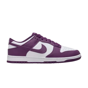 Nike Dunk Low 'Viotech Blanc' Viotech/Blanc DV0833 107