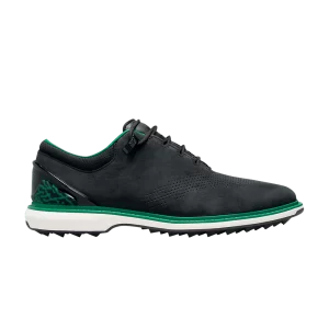 Air Jordan Eastside Golf x Jordan ADG 4 '1961' Noir/Malachite/Or métallique FJ0850 001