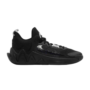 Nike Giannis Immortality 2 GS 'Black Wolf Grey' Noir/Gris loup/Blanc/Noir DQ1943 003