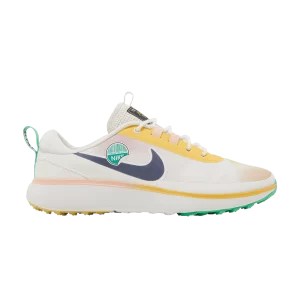 Nike Infinity Ace Next Nature NRG 'Always Fresh' Fantôme/Topaze dorée/Blanc sommet/Gridiron DX7435 007