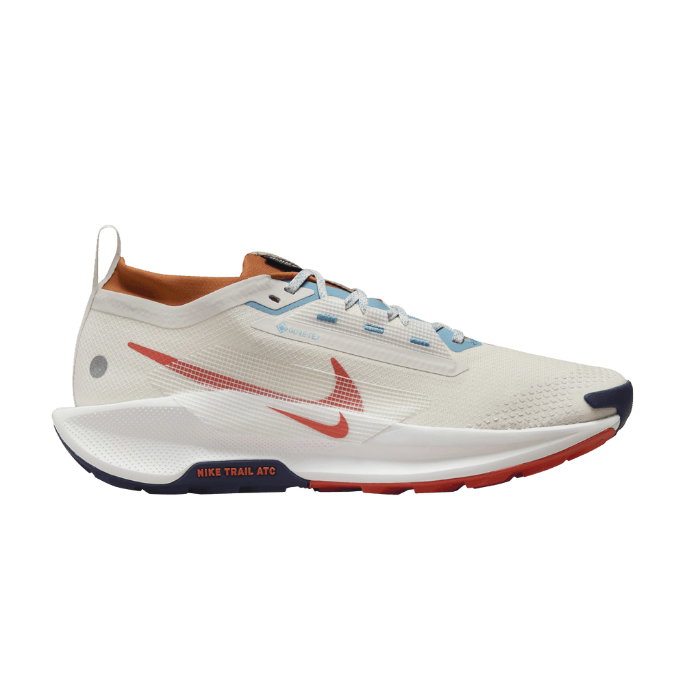 Nike Pegasus Trail 5 GORE-TEX 'Phantom Vintage Coral' Fantôme/Blond foncé/Denim Turquoise/Vintage Corail FQ0908 003
