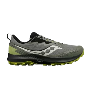 Saucony Peregrine 14 GORE-TEX 'Bough Olive' Baskets Branche/Olive S20918 110