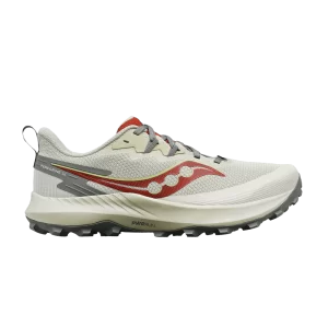 Saucony Peregrine 14 'Stone Cinder' Baskets Pierre/Cendrillon S20916 105